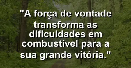 “A força de vontade transforma as dificuldades em combustível para a sua grande vitória.”