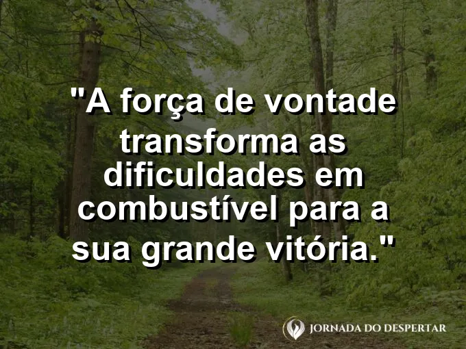 Carro de corrida soltando fogo pelo escapamento com frase sobre dificuldades e combustível.