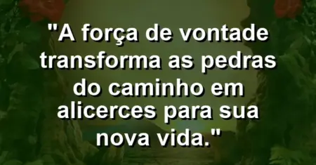 “A força de vontade transforma as pedras do caminho em alicerces para sua nova vida.”