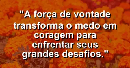 “A força de vontade transforma o medo em coragem para enfrentar seus grandes desafios.”