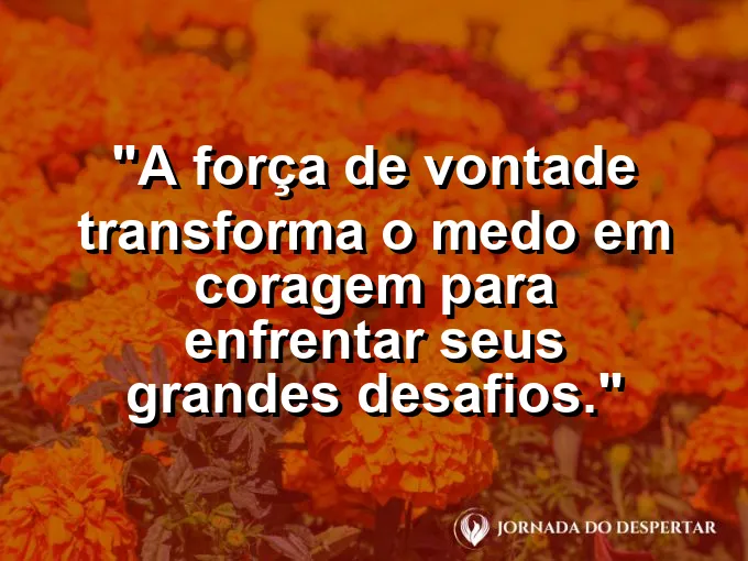 Pessoa encarando um leão de pedra com frase sobre transformar medo em coragem.