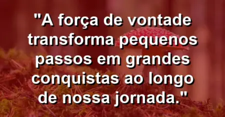“A força de vontade transforma pequenos passos em grandes conquistas ao longo de nossa jornada.”