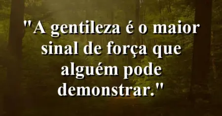 A gentileza é o maior sinal de força que alguém pode demonstrar.