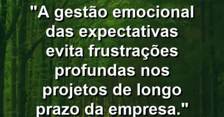 “A gestão emocional das expectativas evita frustrações profundas nos projetos de longo prazo da empresa.”