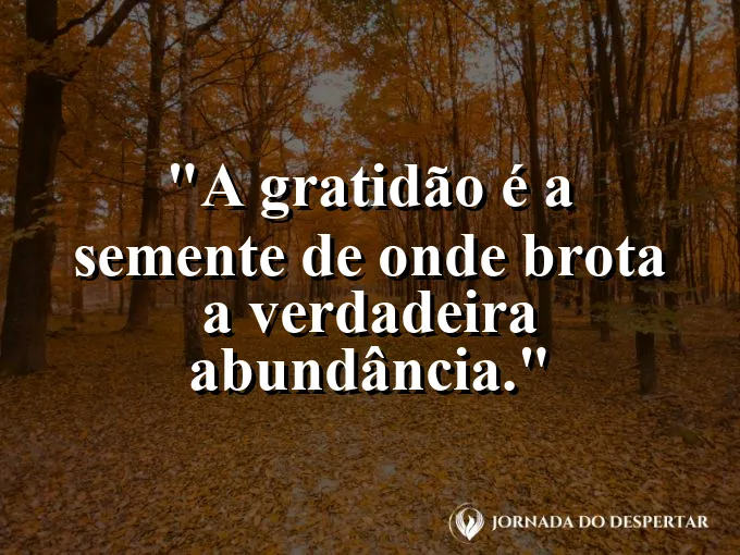 Mãos juntas em sinal de agradecimento no pôr do sol.