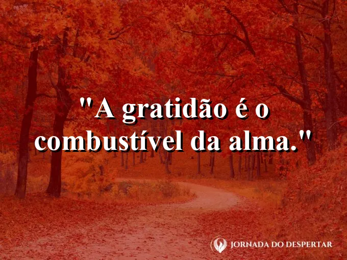 Mãos postas em sinal de oração com o pôr do sol ao fundo.