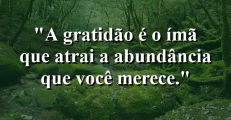A gratidão é o ímã que atrai a abundância que você merece.