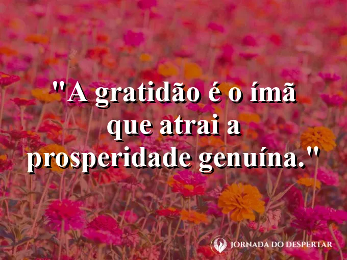 Mãos abertas segurando grãos de trigo sob a luz dourada.