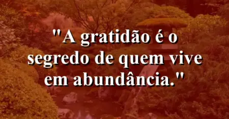 A gratidão é o segredo de quem vive em abundância.