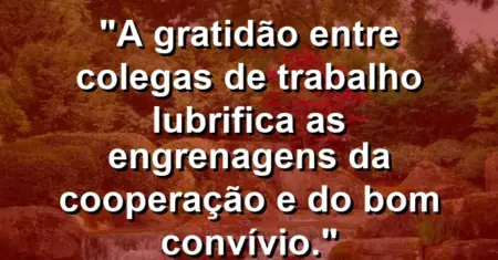 “A gratidão entre colegas de trabalho lubrifica as engrenagens da cooperação e do bom convívio.”