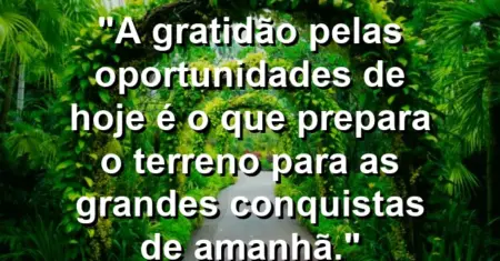 “A gratidão pelas oportunidades de hoje é o que prepara o terreno para as grandes conquistas de amanhã.”