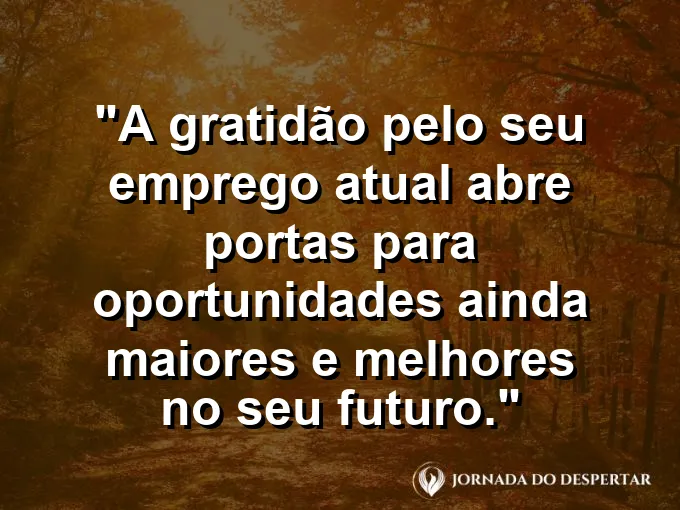 Mãos unidas em um gesto de agradecimento sobre uma mesa de trabalho repleta de projetos bem-sucedidos e finalizados.