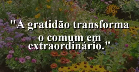A gratidão transforma o comum em extraordinário.