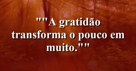 “A gratidão transforma o pouco em muito.”