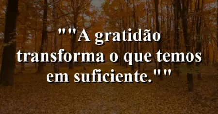 “A gratidão transforma o que temos em suficiente.”