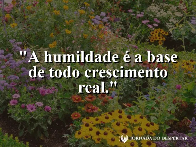 Raízes profundas de uma árvore expostas na terra fértil.