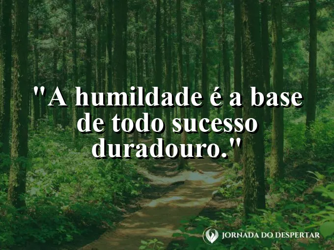 Árvore frondosa com raízes profundas em um campo aberto.