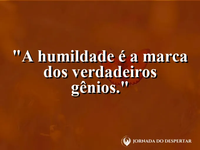 Pequeno broto crescendo à sombra de uma grande árvore.