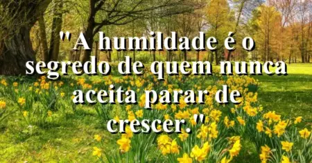 A humildade é o segredo de quem nunca aceita parar de crescer.