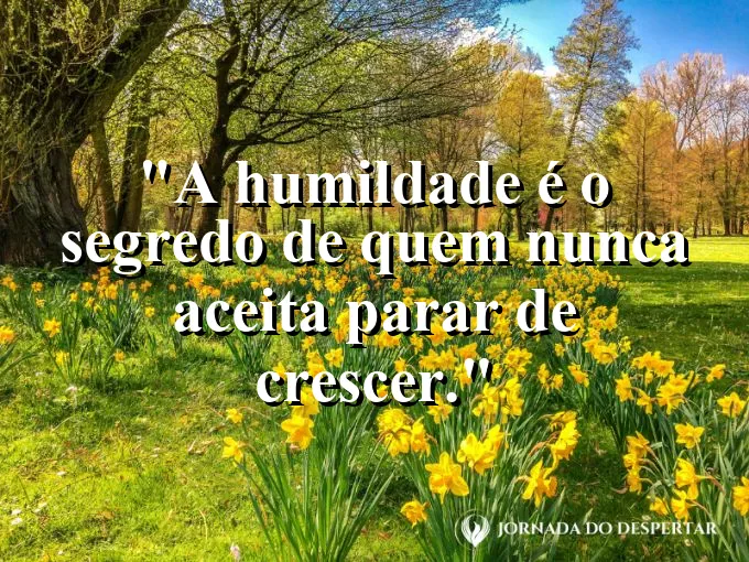 Uma montanha alta com o topo coberto por uma neve suave.