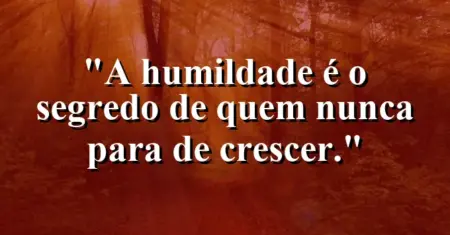 A humildade é o segredo de quem nunca para de crescer.