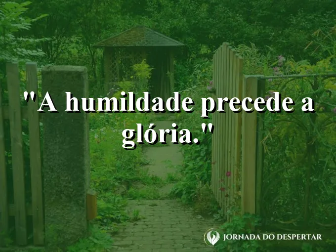 Raízes de uma árvore centenária firmes no chão.