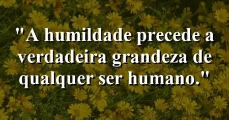 A humildade precede a verdadeira grandeza de qualquer ser humano.