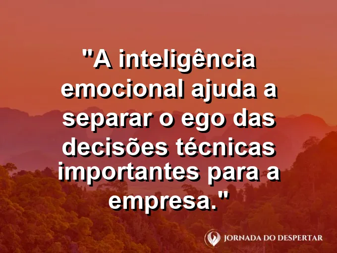 Espelho quebrado mostrando apenas a realidade técnica com frase sobre ego e decisões.