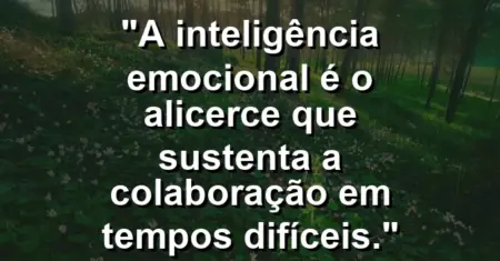 “A inteligência emocional é o alicerce que sustenta a colaboração em tempos difíceis.”