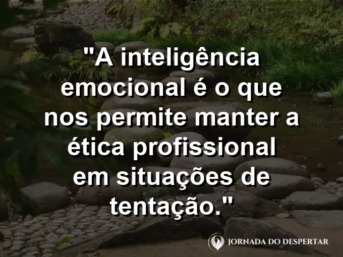 Caminho reto de pedras brancas em um jardim com frase sobre ética e inteligência emocional.