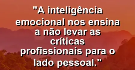 “A inteligência emocional nos ensina a não levar as críticas profissionais para o lado pessoal.”