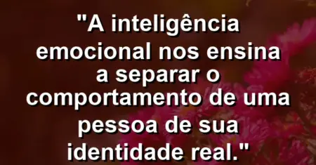 “A inteligência emocional nos ensina a separar o comportamento de uma pessoa de sua identidade real.”