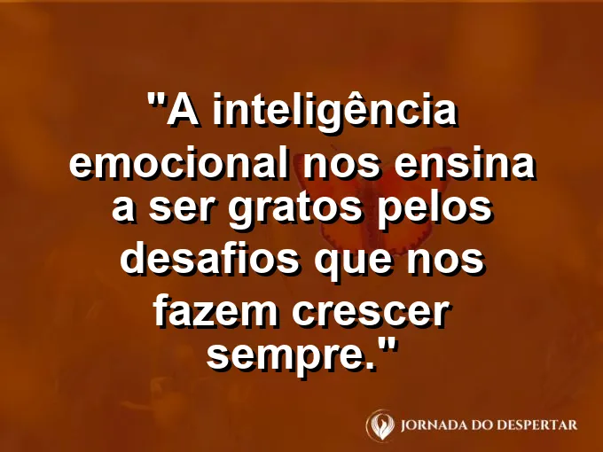 Escada de pedras brutas subindo para o sol com frase sobre desafios e crescimento na carreira.