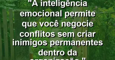 “A inteligência emocional permite que você negocie conflitos sem criar inimigos permanentes dentro da organização.”