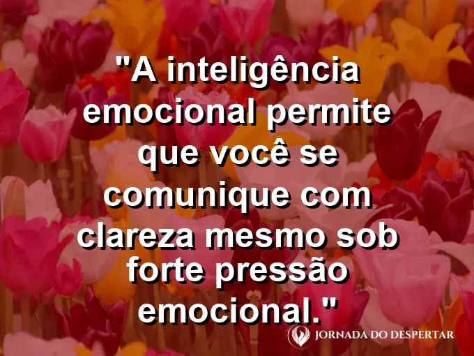 Lâmpada acesa em meio a um nevoeiro com frase sobre clareza na comunicação e pressão emocional.