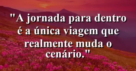 A jornada para dentro é a única viagem que realmente muda o cenário.