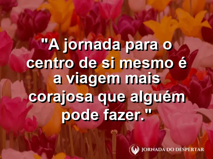 Alguém entrando em uma floresta mágica e desconhecida.