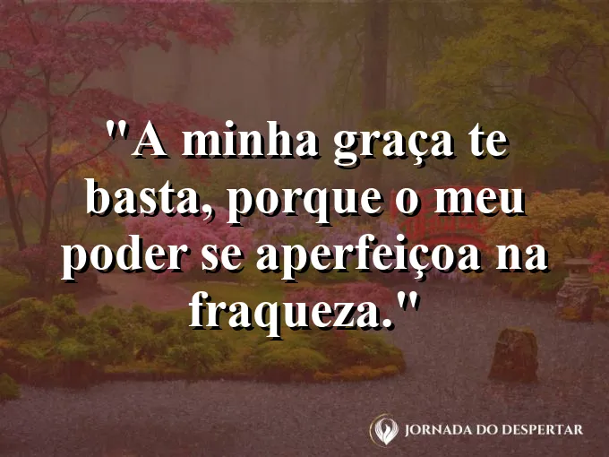 Pequena planta brotando no concreto seco com frase sobre a graça que nos basta em Deus.