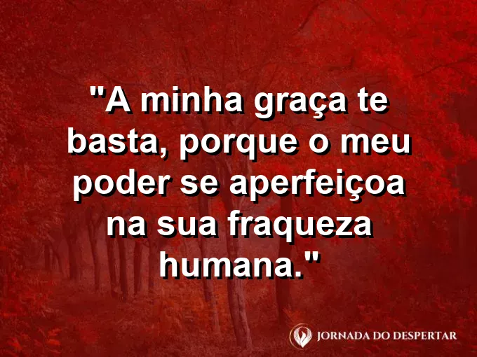 Pequena planta brotando no concreto seco com frase sobre a graça que nos basta sempre.