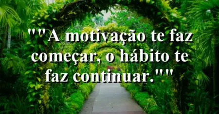 “A motivação te faz começar, o hábito te faz continuar.”