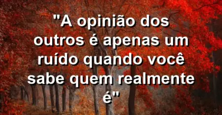 “A opinião dos outros é apenas um ruído quando você sabe quem realmente é”