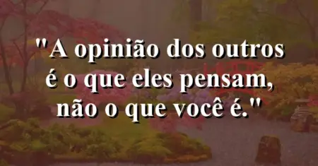 A opinião dos outros é o que eles pensam, não o que você é.