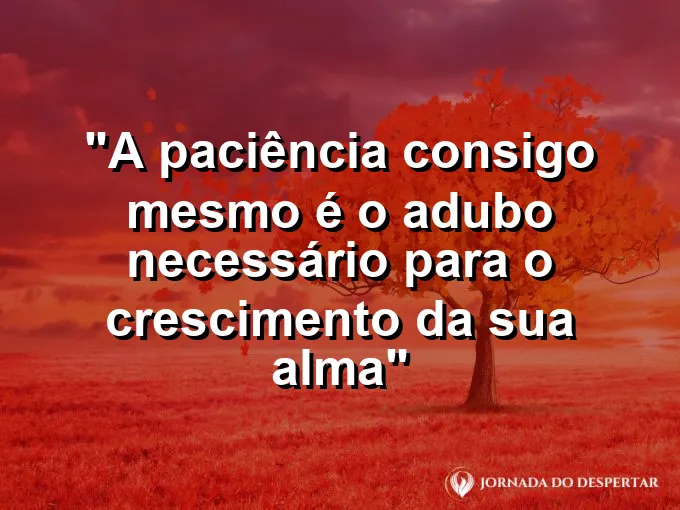 ATRIBUTO ALT DA IMAGEM COM A FRASE: Uma gota de água caindo suavemente em uma folha verde jovem durante o amanhecer.