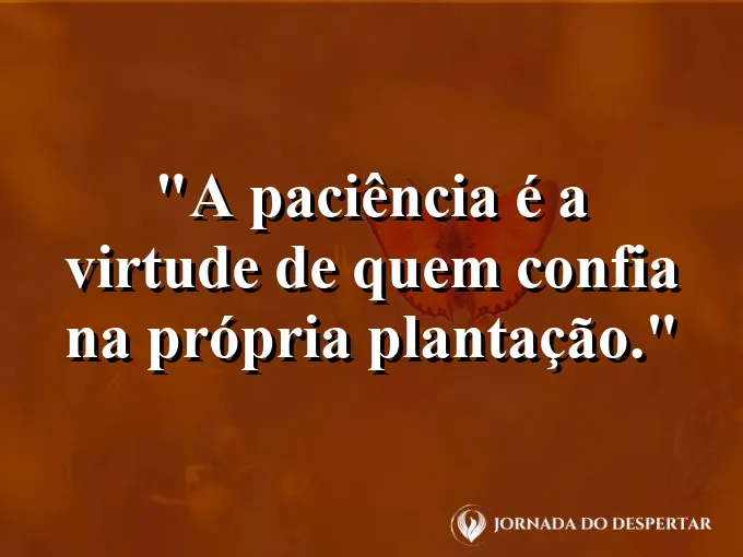 Campo de girassóis virados para o sol em um dia claro.