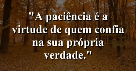 A paciência é a virtude de quem confia na sua própria verdade.
