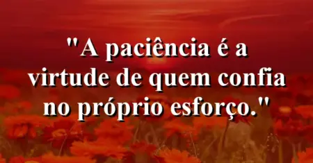 A paciência é a virtude de quem confia no próprio esforço.