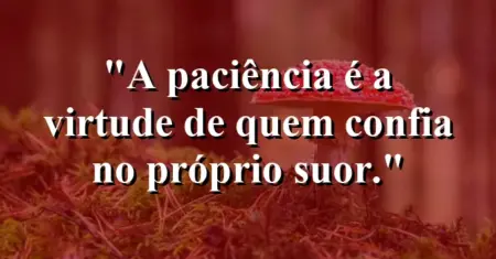 A paciência é a virtude de quem confia no próprio suor.