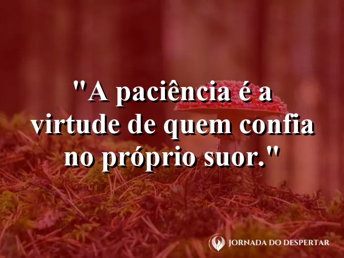 Campo de girassóis virados para o sol em um dia claro.