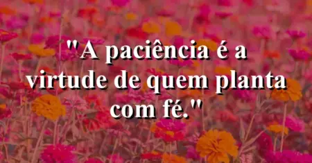 A paciência é a virtude de quem planta com fé.
