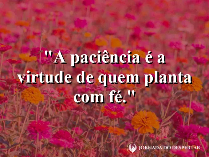 Planta brotando de uma semente na terra sob a luz do sol.